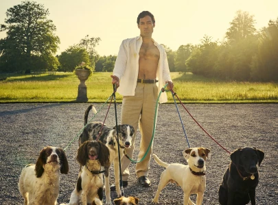 rivals to the diplomat 11 must watch tv shows to stream this november