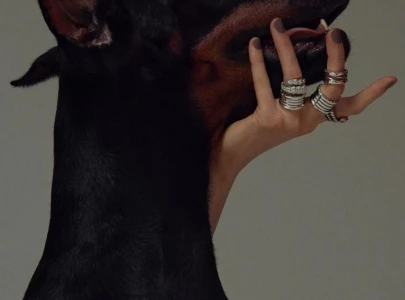 21 dangerous and aggressive dog breeds you should know about