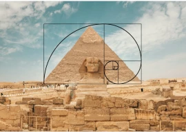 a hidden code between math and nature