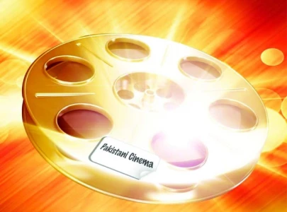 govt mulls steps to revitalise pakistan cinema