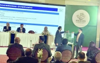 govt finally cuts loose white elephant pia