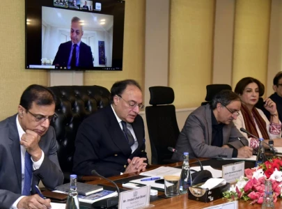 aurangzeb reviews economic reforms trade and investment with world bank uk envoy