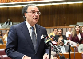 finance minister unveils rs17 6tn budget targets 4 2 growth