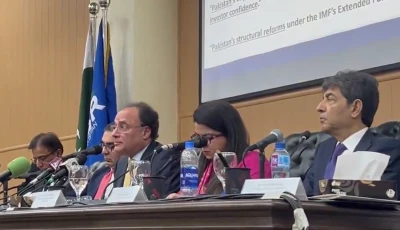 finance minister aurangzeb on discussion on ending protection of provincial shares screengrab via radiopakistan on x