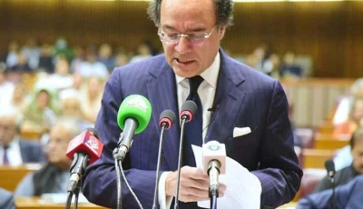finance minister muhammad aurangzeb photo file