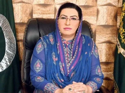 pti used social media to tarnish institutions firdous
