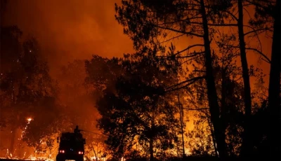 tens of thousands flee fires in france