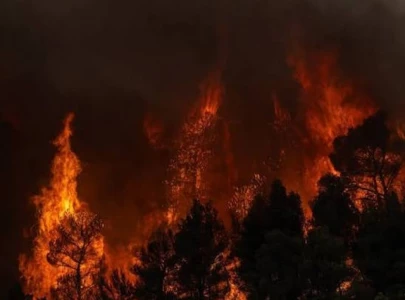 greece gains ground against blaze near athens