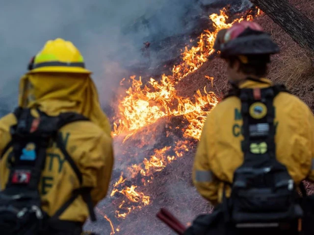 firefighters watch as the palisades fire one of simultaneous blazes that have ripped across los angeles county burns at the mandeville canyon a neighborhood of los angeles california us january 11 2025 photo reuters firefighters watch as the palisades fire one of simultaneous blazes that have ripped across los angeles county burns at the mandeville canyon a neighborhood of los angeles california us january 11 2025 photo reuters