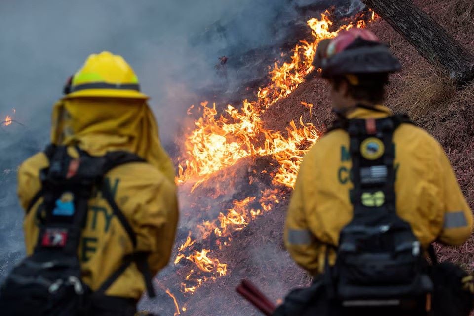 firefighters watch as the palisades fire one of simultaneous blazes that have ripped across los angeles county burns at the mandeville canyon a neighborhood of los angeles california us january 11 2025 photo reuters