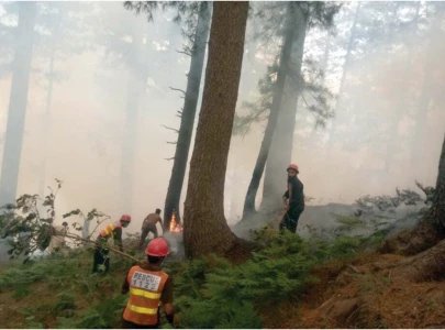 80 forest fires reported on private lands of k p