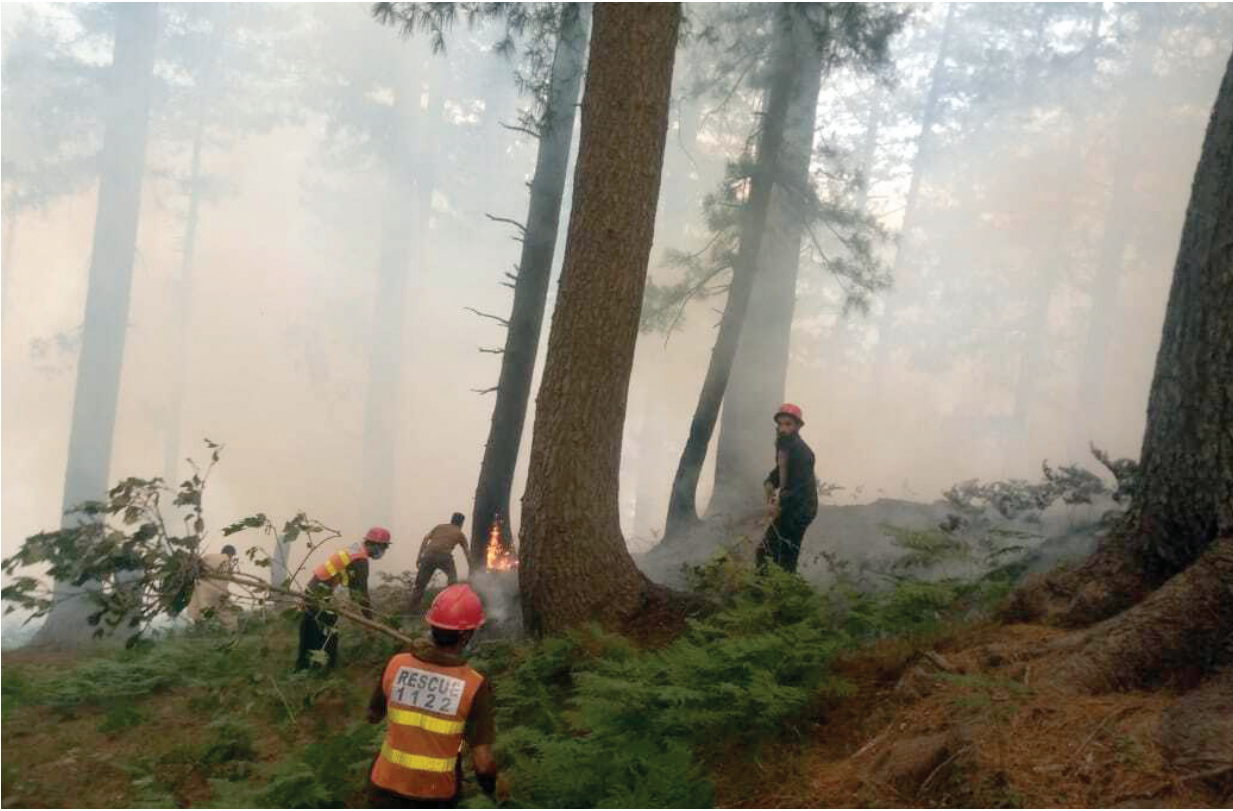 dousing the flames workers of the k p forest department busy in extinguishing a fire in upper dir photo express