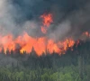 wildfires heat threaten northern hemisphere forests wildfires heat threaten northern hemisphere forests