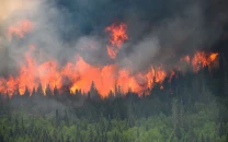 wildfires heat threaten northern hemisphere forests wildfires heat threaten northern hemisphere forests