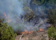 burning landscape smoke and flames rise during a wildfire in san martin de valdeiglesias near madrid photo reuters