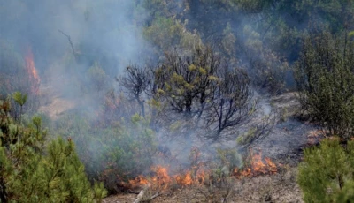 wildfires force evacuations across southern europe