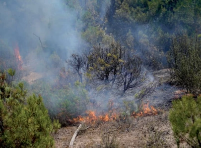 wildfires force evacuations across southern europe