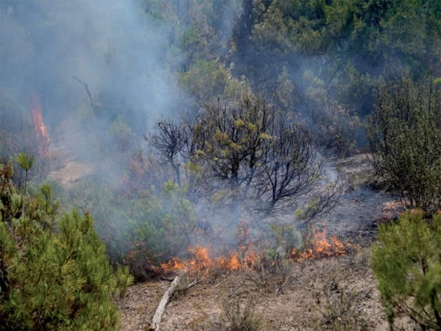 burning landscape smoke and flames rise during a wildfire in san martin de valdeiglesias near madrid photo reuters burning landscape smoke and flames rise during a wildfire in san martin de valdeiglesias near madrid photo reuters