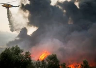 algeria wildfires kill two force evacuations