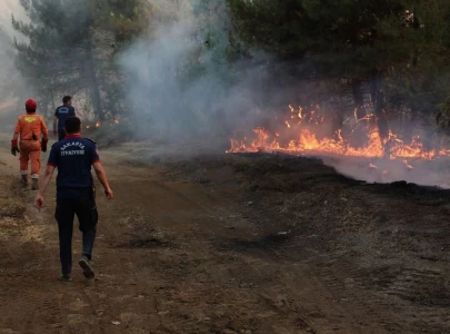 turkey evacuates over 50 000 as wildfires rage in izmir province