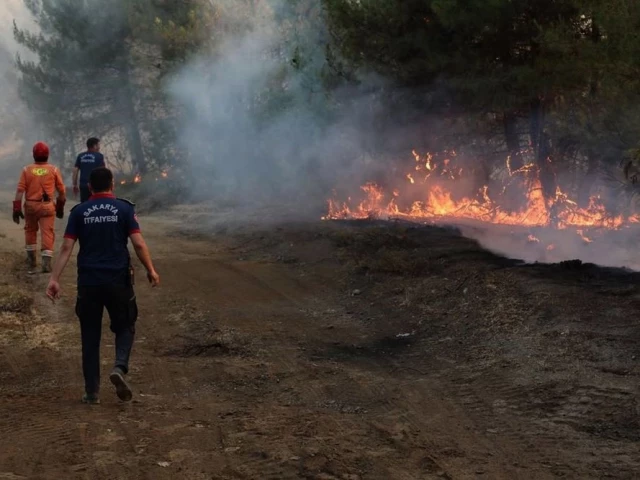 this handout photograph taken and released on june 30 2025 by turkish news agency dha demiroren news agency shows firefighters working to extinguish wildfire in sakarya more than 50 000 people have been evacuated as turkish firefighters battle a string of wildfires with the vast majority of evacuations from the western izmir province the afad disaster agency said photo afp