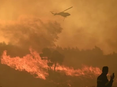 people flee wildfire near athens as it spreads like lightning