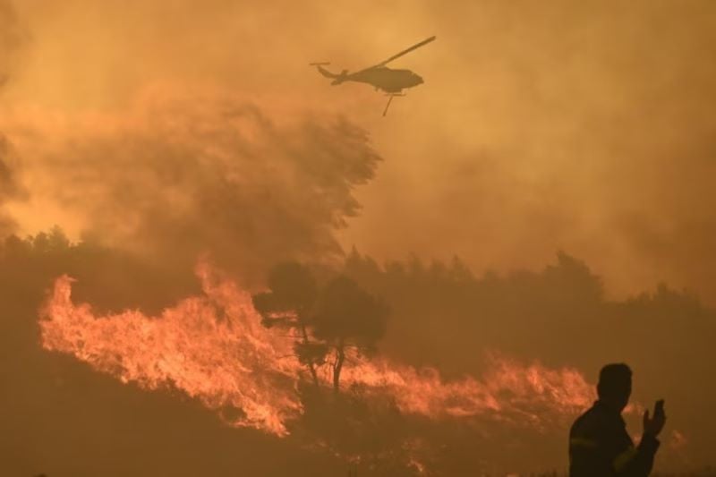 fire erupted in varnava greece august 11 2024 photo reuters