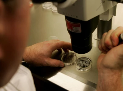 scientists create human eggs from skin cells