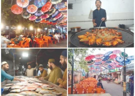 fish food street draws crowds fish food street draws crowds