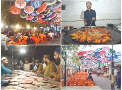 fish food street draws crowds fish food street draws crowds
