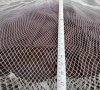 ghost nets a deadly trap for marine life