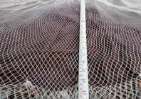 ghost nets a deadly trap for marine life