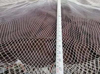 ghost nets a deadly trap for marine life