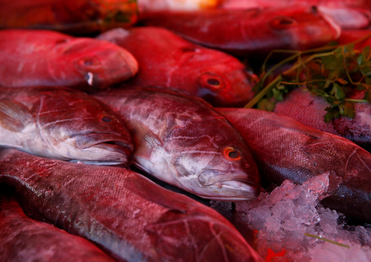 water pollution drought endanger punjab fish