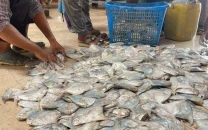 work on floating jetty begins with rs120m cost