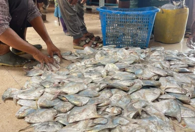 work on floating jetty begins with rs120m cost