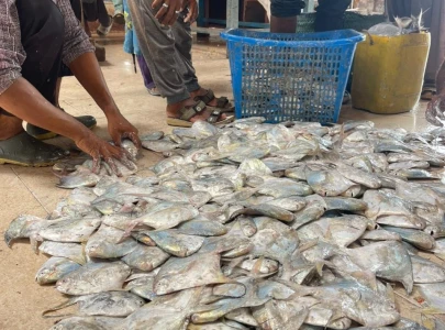 work on floating jetty begins with rs120m cost