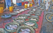 warning bells rung on declining fish stocks warning bells rung on declining fish stocks