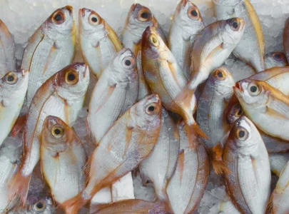 fish farming surpasses wild fisheries for first time un report