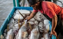 no catch for the day pakistan s tuna trade caught in us iran crossfire no catch for the day pakistan s tuna trade caught in us iran crossfire
