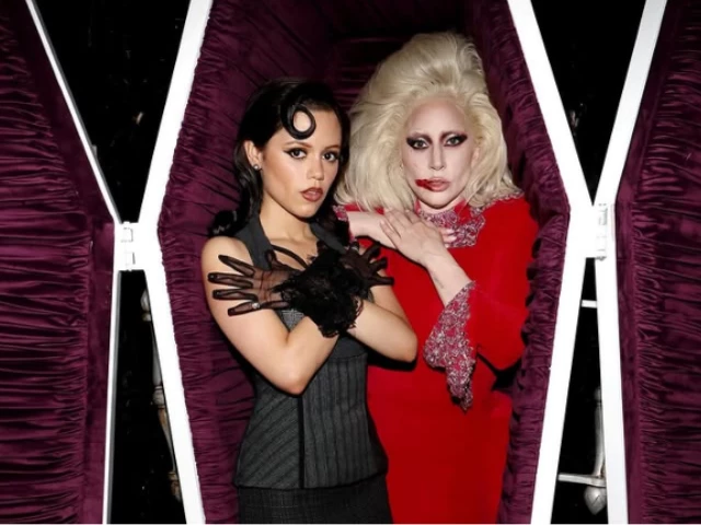 photo netflix photo netflix