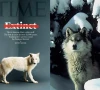 the true story behind time magazine cover celebrating de extinction of dire wolves using ancient dna the true story behind time magazine cover celebrating de extinction of dire wolves using ancient dna