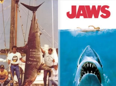 long island shark hunter may have inspired jaws character whitewashing claims surface as film turns 50 long island shark hunter may have inspired jaws character whitewashing claims surface as film turns 50