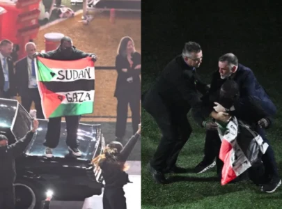 super bowl halftime performer arrested after sudan and gaza protest during kendrick lamar s set super bowl halftime performer arrested after sudan and gaza protest during kendrick lamar s set