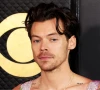 harry styles sparks romance rumours with mystery woman in glastonbury vip area harry styles sparks romance rumours with mystery woman in glastonbury vip area