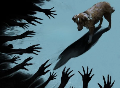 good boy horror film tells haunted house story through a dog s perspective good boy horror film tells haunted house story through a dog s perspective