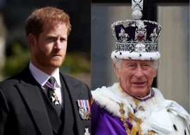 prince harry takes aim at king charles after losing uk security appeal over personal protection