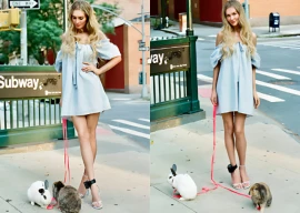 anna delvey responds after being accused of dumping rabbits used in prospect park photoshoot