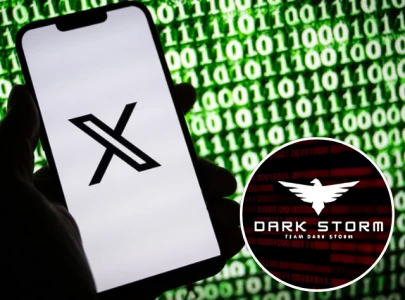 elon musk points to ukraine for cyber attack on x pro palestinian dark storm team claims responsibility elon musk points to ukraine for cyber attack on x pro palestinian dark storm team claims responsibility