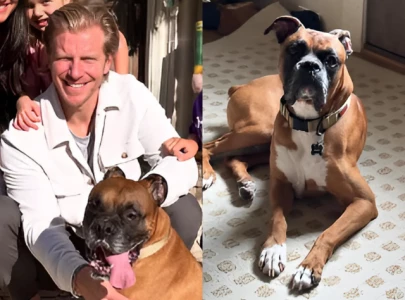 bachelor alum sean lowe attacked twice in 12 hours by rescue dog says he fought for his life amid pool of blood